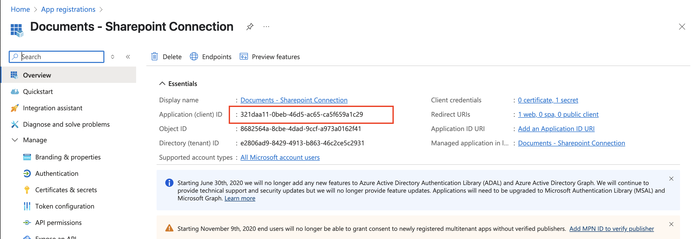 Application overview page showing the Application (client) ID and Directory (tenant) ID